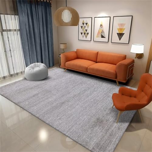 Tapis de salon facile a entretenir gris moderne 80x160cm