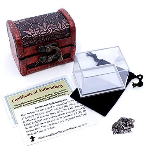 DANCING BEAR Meteorite Extra Large 20-70g (20-32g)