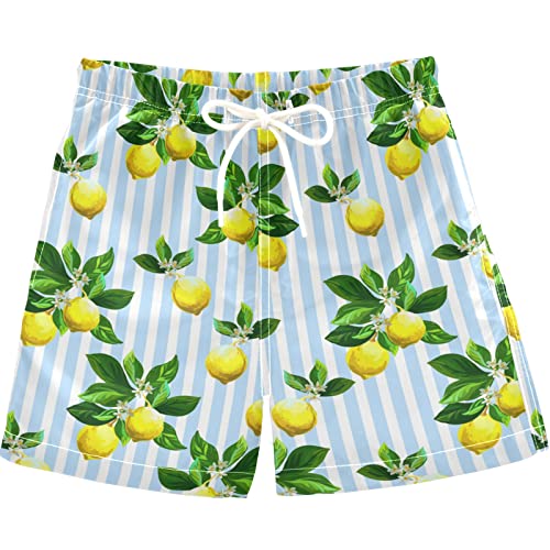 visesunny Boys Swim Trunks Toddler Swim Shorts Lemon with Leaf Little Boys Bathing Suit Swimsuit Toddler Boy Swimwear
