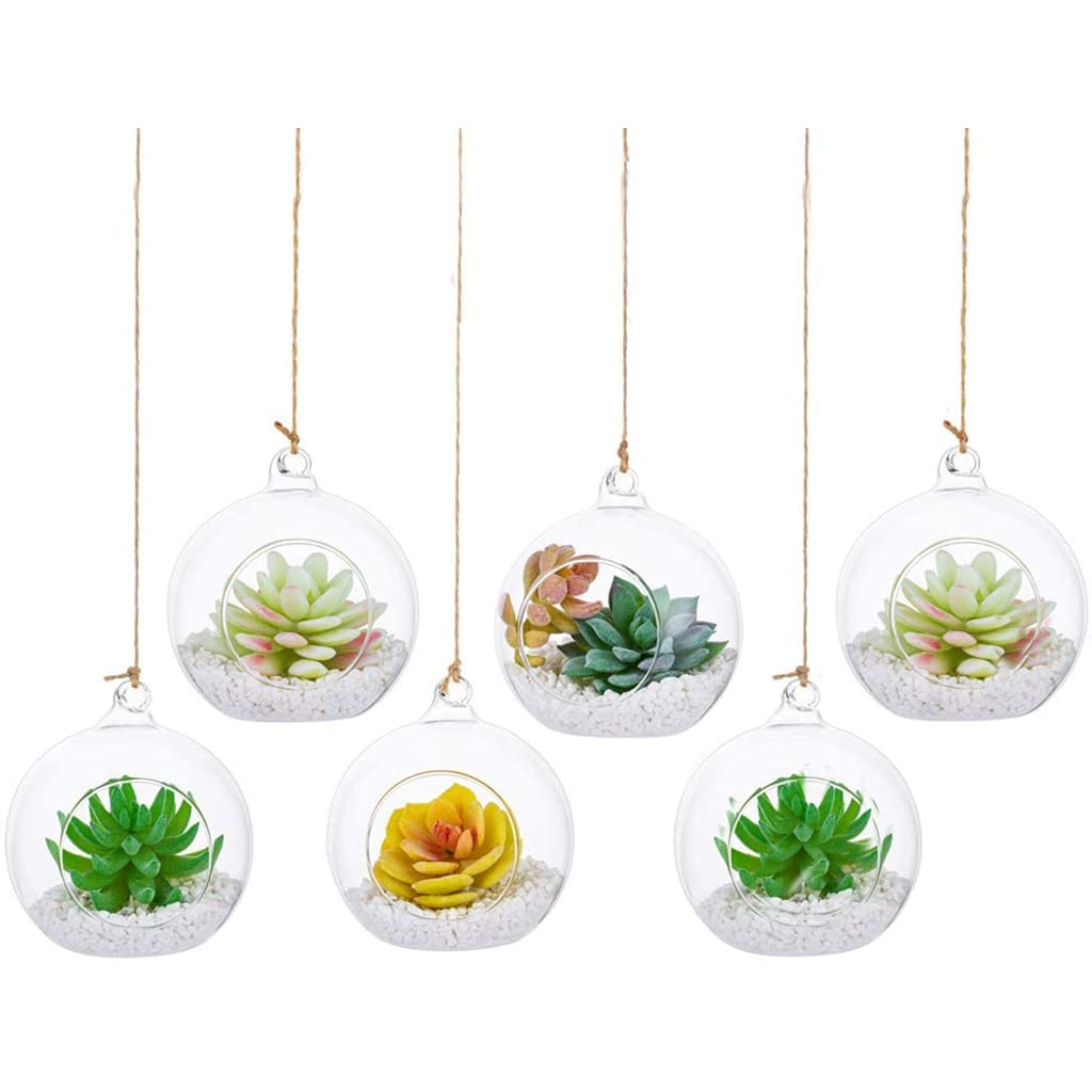Terrario de cristal, portavelas para el hogar, suculentas, jarrón, terrarios de vidrio para pared