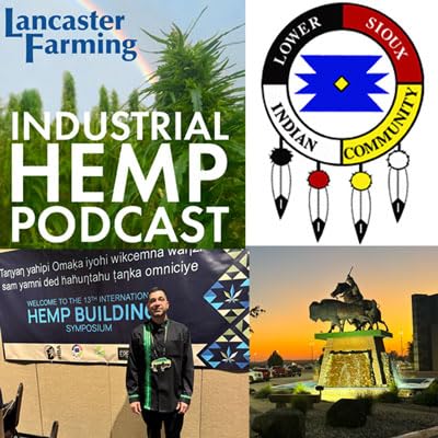 Voices from Cansayapi (Part Two) Podcast Por  arte de portada