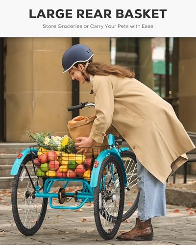 VIRIBUS Electric Tricycle for Senior