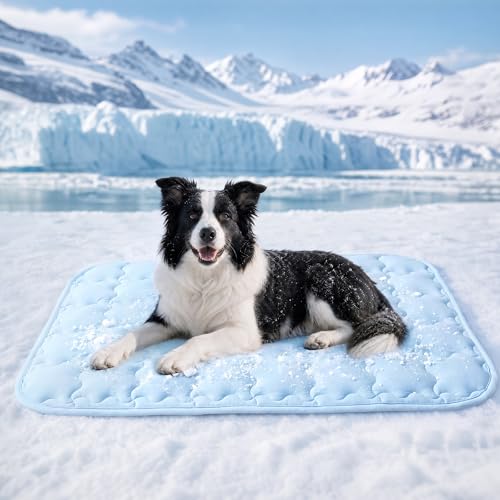 Luciphia Premium Dog Cooling Mat Non-Slip Q-MAX0.5 Self-Cooling Pad for Small Pet Cat Indoor Portable Kennel Puppy Bed for Summer Crate Pad for Dog Washable Light Blue 20x30 inches