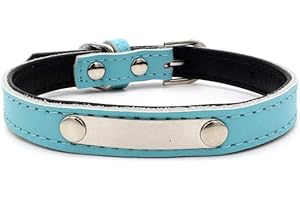 Laser Engraved Z23Z Leather Dog Collar