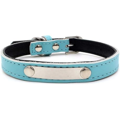 Laser Engraved Z23Z Leather Dog Collar