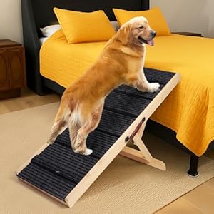 Dog Ramp for Bed Couch Folding Pet Ramps for Small Medium Dogs to Get on Bed, Up to 70 lbs, Adjustable Height 24”, 43.3″ Long