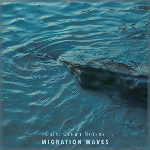 Migration Waves