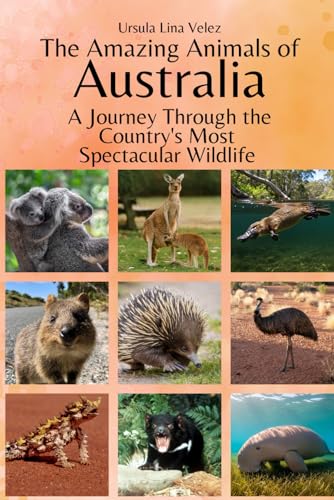 The Amazing Animals of Australia: A Journey Through the Region's Most Spectacular Wildlife