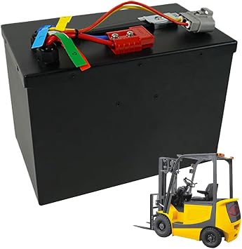 LiFePO4  24V   24V 40AH  BMS