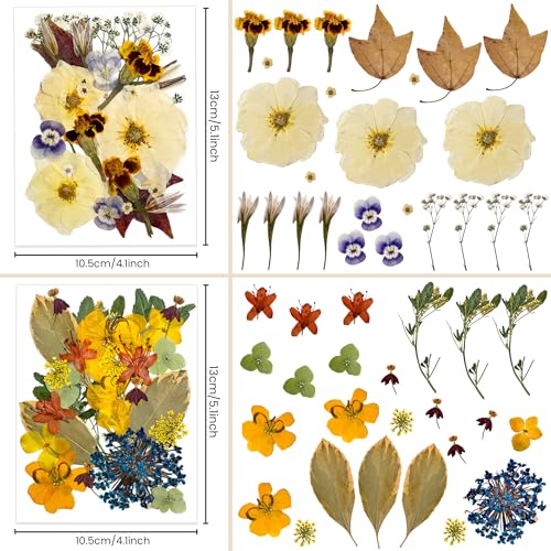 100 flores secas prensadas para manualidades miniatura 3