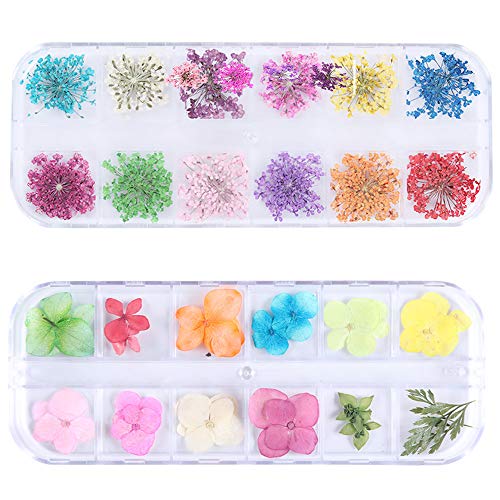 Nail Flowers 3D Dry Flowers for Nails Designs 48 Pcs Nail Art Flowers for Tips Manicure Fingernails and Toenails Decoration Supplies Starry Leaf Nail Dried Flower Sticker Decals