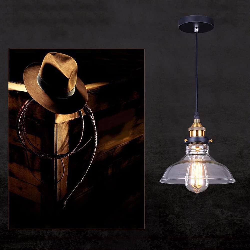 Dario in Vetro, da a Sospensione Industriale Amena per Sala da Pranzo, Moderne luci da soffitto a LED a Testa Sina, Attacco E26, Altezza reabile, per Bar, Cucina, Isola, Fattoria