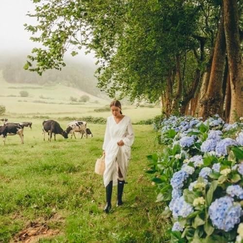 New Moon in Virgo: Radical Presence, Radical Healing