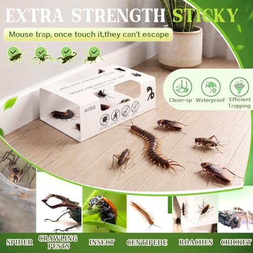 Image of Qualirey 30 Pcs Spider Traps Indoor Roach Bug Ant Cricket Insect Sticky Traps Adhesive Cockroach Rat Mice Glue Boards for House Kitchen Bathroom Basement Garage(Window Style)
