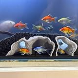 Aquarium Decor, 3D Printed Natural Tunnel Pleco Cave, Fish Hideout Decor for Cichlid, Clown Loach & Kuhli Loach (L-White)
