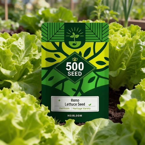 5000 Buttercrunch Lettuce Seeds for Planting, Heirloom Non-GMO Cool-Season Vegetable Seeds for Hydroponics/Soil Cultivation, Butterhead Lettuce for Fresh Salad, Fast Growing