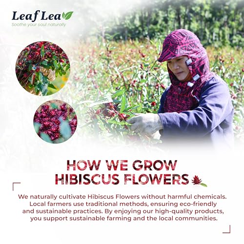 Leaflea 40 Premium Natural Hibiscus Tea Bags thumb #6