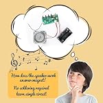 Science Kits pour les enfants âgés de 8 à 12 ans STEM Kits pour enfants de 8 à 10 ans, STEM Jouets construisez votre propre FM Kit radio, DIY Circuits électroniques à enclencher Projets Cadeaux pour les adolescentes Garçons 9 11 13 15 16+ (Bois classique)