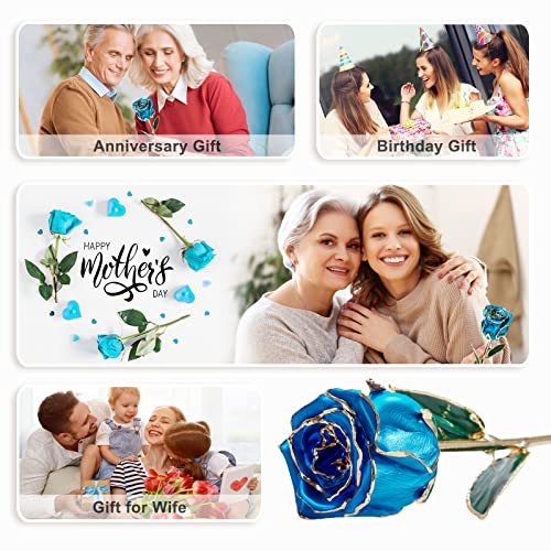 24K Gold Dipped Real Rose,Rose Flower Gifts For Women,Sister Birthday Gifts For Her,Anniversary Artificial Roses Flowers Gifts For Her,Gifts For Wife Ideas,Beauty And The Beast Gifts (Light Blue-B) #TOP4