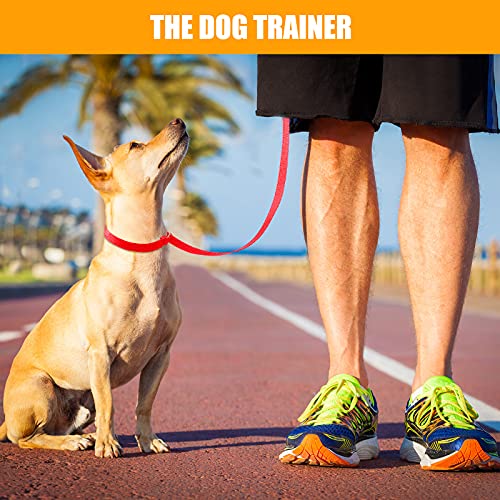 Nuanchu 60 Pieces Puppy Slip Leash Pet Pulling Leashes With O-Ring For Puppy Pet Animal Control Grooming Shelter Rescues Walking Training Doggy Daycare #TOP4