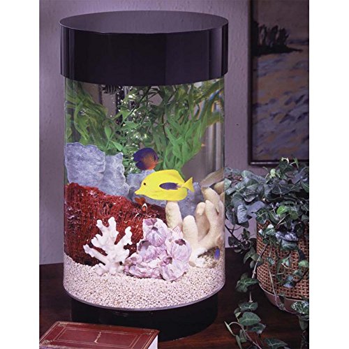 Midwest Tropical AquaRound Aquarium