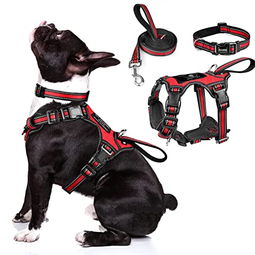 WINSEE Pet Harness Collar and Leash Set,...