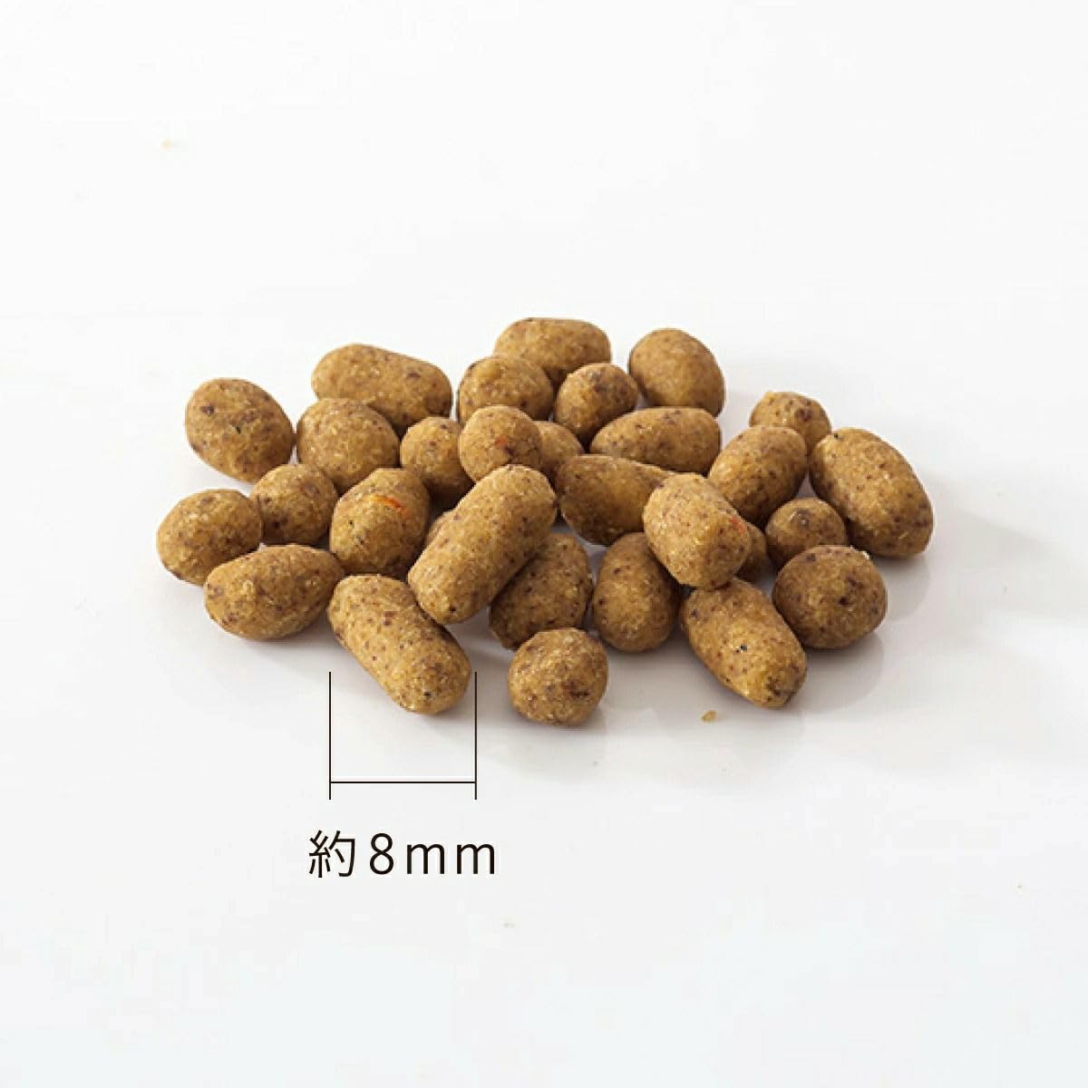 Amazon.co.jp: ドットわん 魚ごはん 500g ドッグフード 国産 無添加