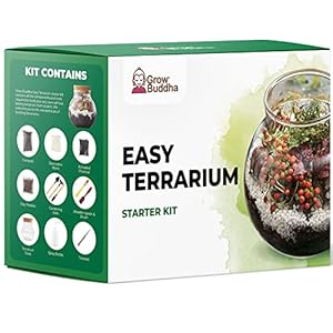Terrarium Kit – Grow Buddha Terrarium Starter Kit – DIY Build Your own Terrarium kit