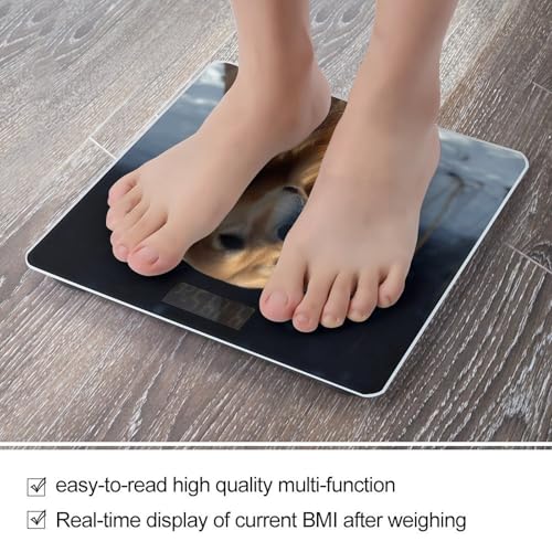 Báscula Digital para Baño con Pantalla LCD y Alta Precisión miniatura 5