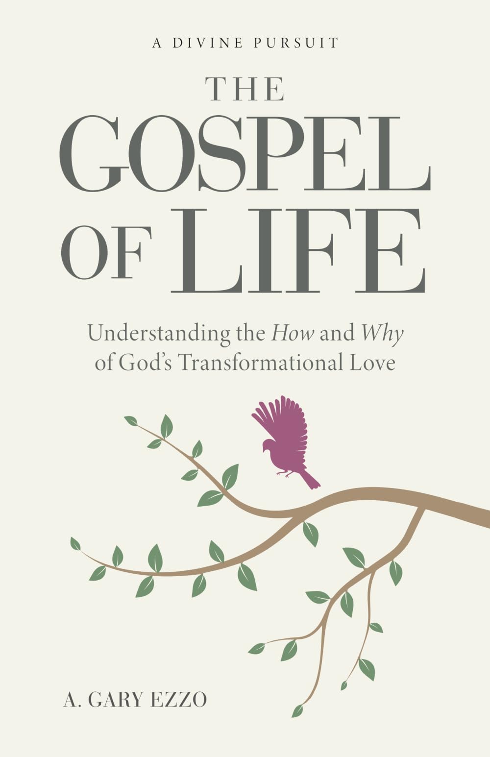 The Gospel of Life: Understanding The How and Why of God's Transformational Love