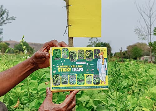 Image of Chipku A5 Yellow Sticky Trap for Insects Pack of 25 Sheets| for Garden & Agriculture to Control Whiteflies, Aphids, Thrips, Jassids| Fly Catcher Insect Catcher Glue Trap for 100% Results