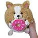 Squishable / Mini Corgi Holding a Donut Plush - 7"