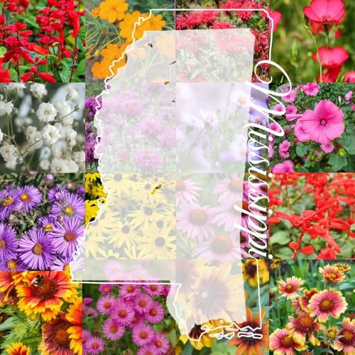 Mississippi Bulk Perennial Wildflower Seed Mix 1lb Covers 2,000sq-ft - Attract Pollinators, Multi-Color Blooms - Southeast US Species Plant in Spring/Fall, Earth-Friendly Packaging (1 Pound)
