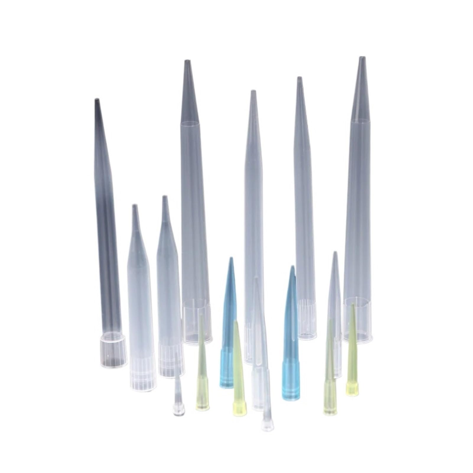Puntas de pipeta de plástico PP Desechables de Laboratorio 10ul 200ul 1000ul 5ml 10ml for Puntas de pipeta de Prueba microbiológica(10ml 15x165mm 100pcs)