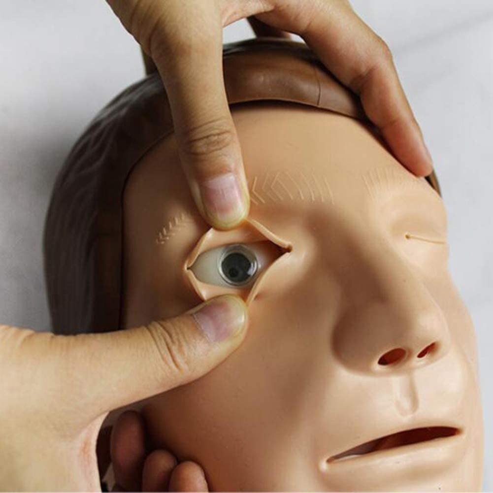 Aide à la Formation du Corps Entier du Mannequin Adulte RCR, simulateur de réanimation cardiorespiratoire pour la Recherche pédagogique, avec éboulis Tactile Intelligent