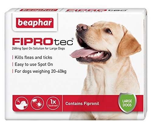 Beaphar® FIPROtec® Kill Flea Ticks Spot On Drop Treatment Protection for Small Medium Large XL Dogs Puppies (1 Treatment, Dog (Large 20-40kg))