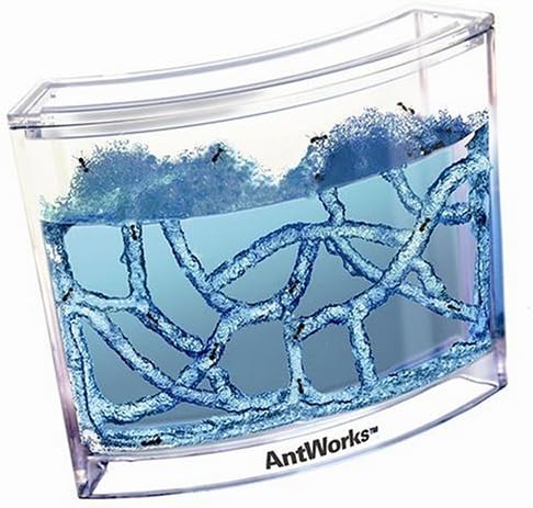 Fascinations AntWorks