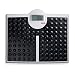 Produktbild Seca 813 Robusta High Load-Bearing Capacity Electronic Flat Scale by Seca