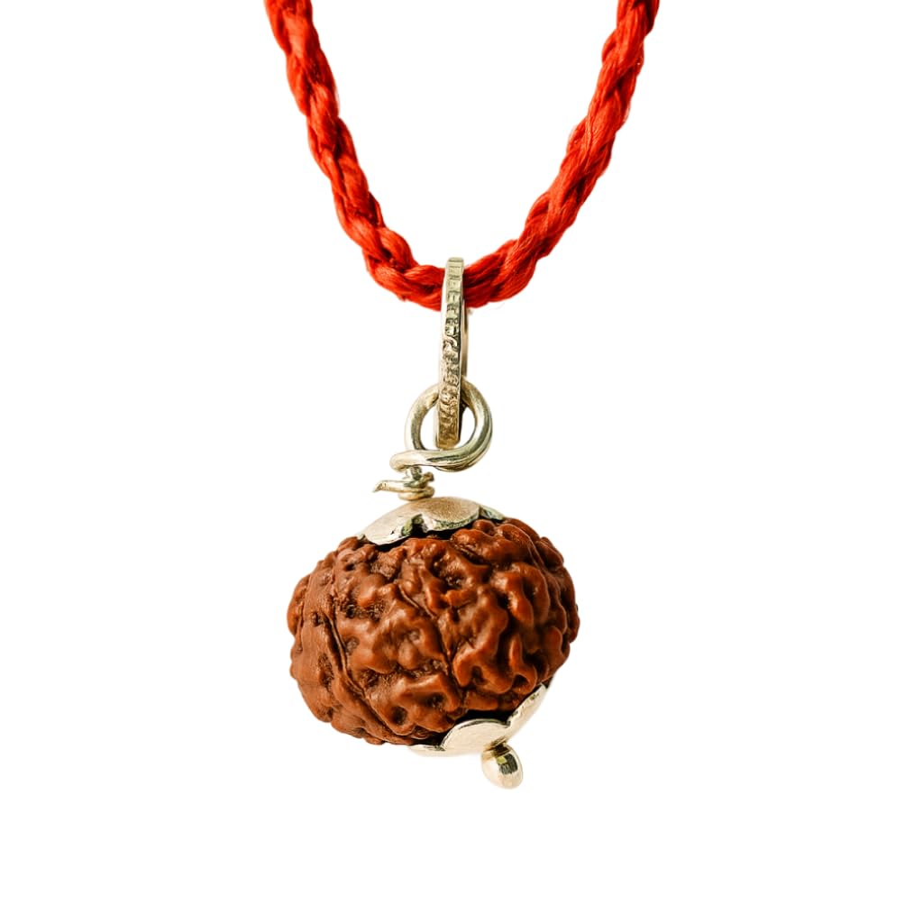 SHIVAKSH® Certified 7 Mukhi Rudraksha Pendent, Locket For Men & Women | Original Bead for Confidence, Healing & Past Guilt | 7 Face Rudraksha | Spiritual Jewelry Pendent For Men & Women