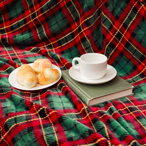 Touchat Fleece Throw Blankets, Buffalo Plaid Throw Blanket for Couch Sofa Bed, Soft Warm Fuzzy Cozy Plush Checkered Blanket, Lightweight Farmhouse Decor (Red and Green Plaid, 50“ x60”)