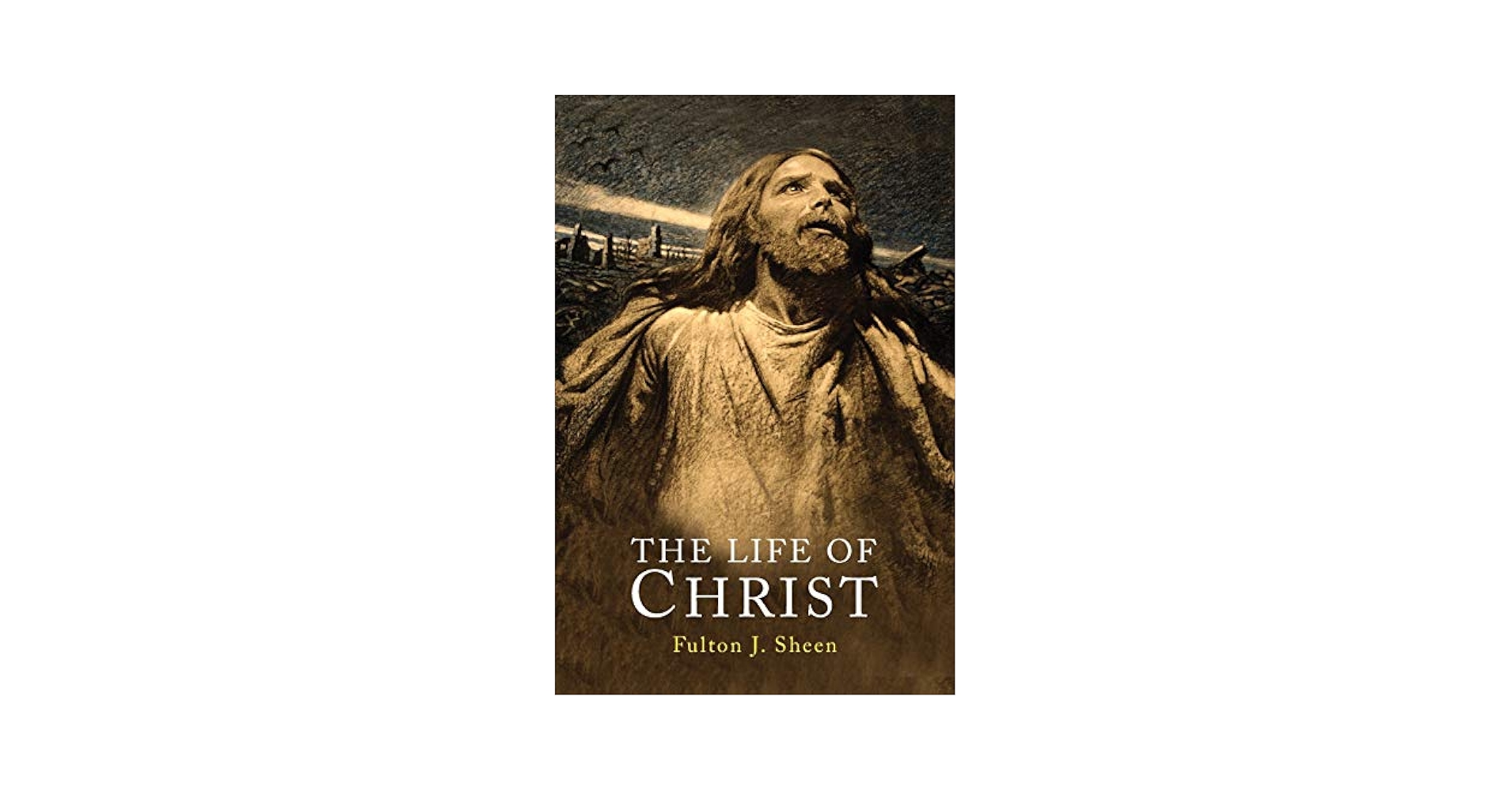 その他 Life of Jesus the Revolutionary [DVD] Amazon.com: The