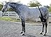 Ice Horse Pony Size Pair Stifle Wrap for Equine Therapy - Comes with 4 Ice Packs