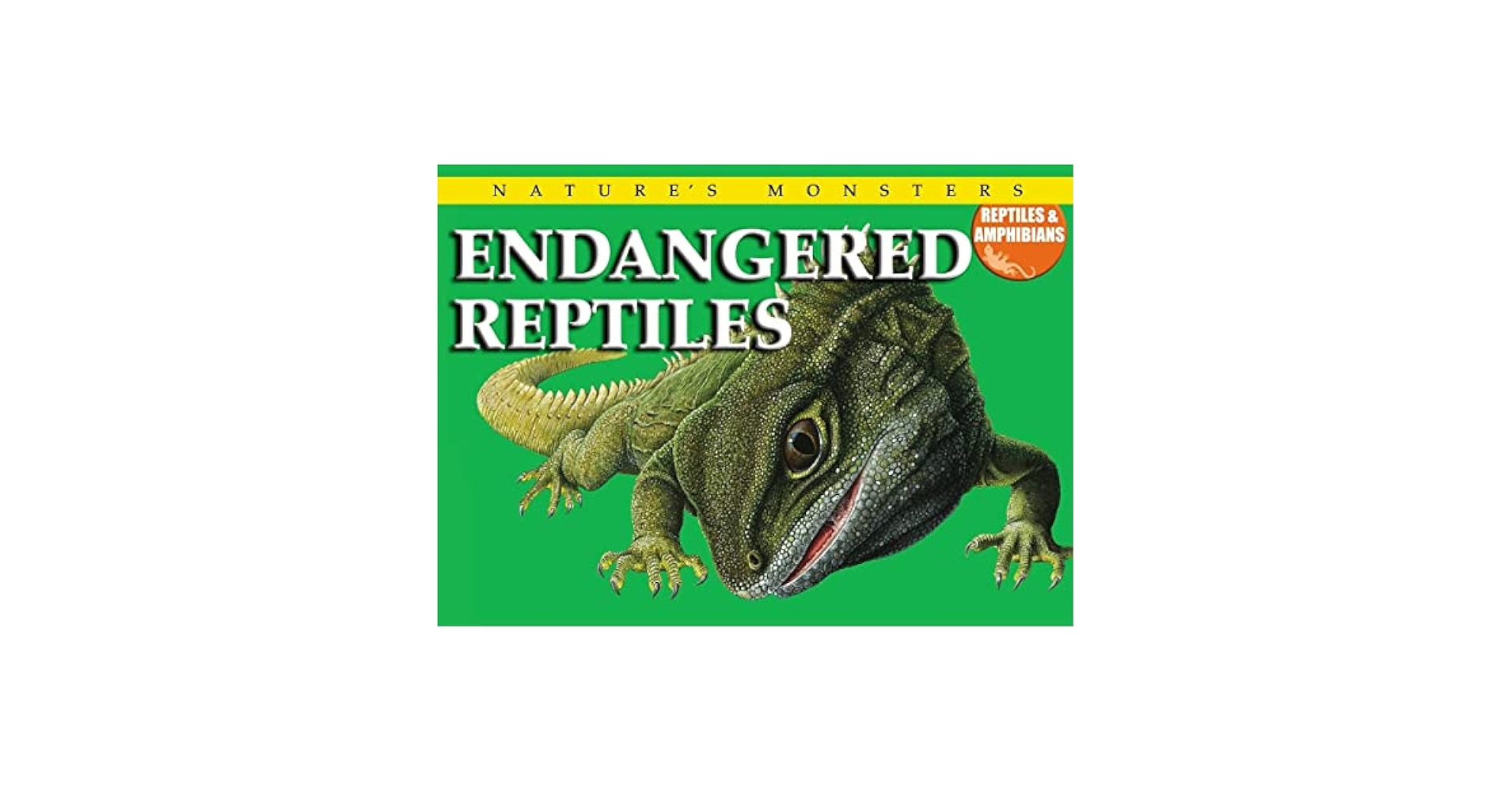 Mader's Reptile and Amphibian 獣医　エキゾチック Mader's Reptile and Amphibian Medicine and Surgery