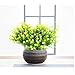 Plantas artificiales, de Amkun, simulación de arbustos de gypsophila, para decoración de...
