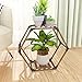 Tikea Esagonale Porta Supporto per Piante per Interni ed Esterni, 2 Livelli in Legno Robusto Scaffale Piedistallo Piante Creativo Fai-da-Te per Finestra, Angolo, Soggiorno, Balcone, Giardino, Ufficio