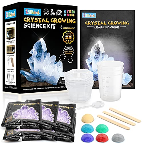 Sillbird Kristalle Züchten Experimentierset, 6 Farben Kristalle Experimentierkasten Wissenschaftler Spielzeug für Kinder… – Bild 8