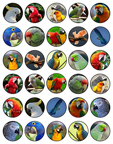 30 x Edible Cupcake Toppers Themed of Tropical Birds Honeycomb