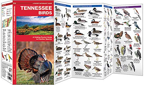 Tennessee Birds: A Folding Pocket Guide To Familiar Species (Wildlife And Nature Identification) #TOP1