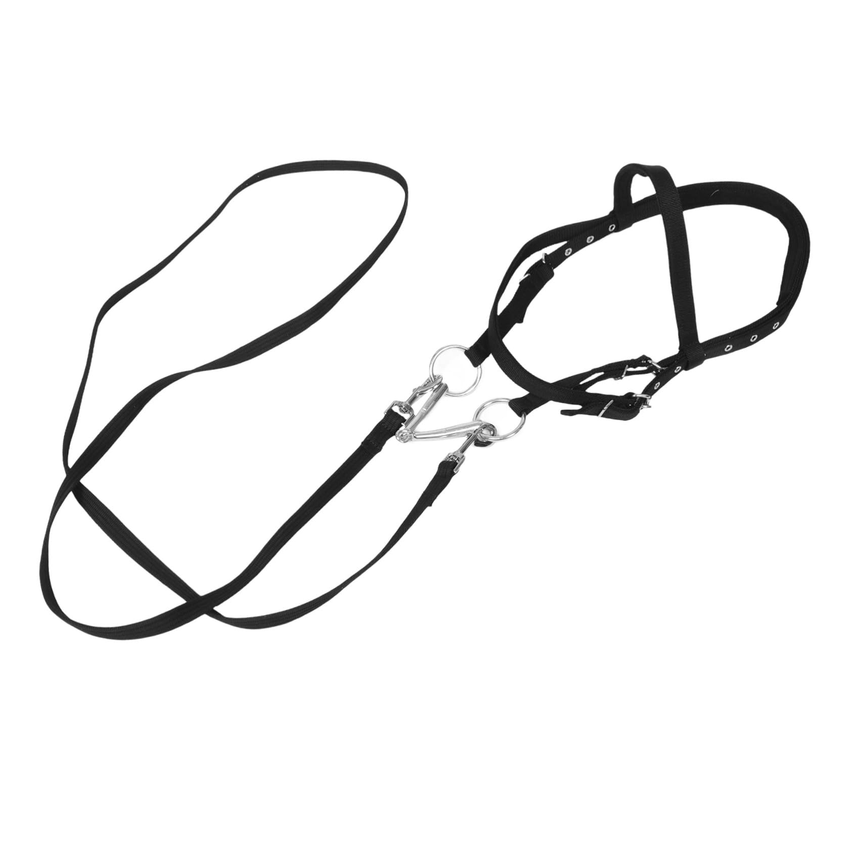 Cavezza Design Ergonomico e Controllo Eccellente in Nailon Nero per Cavalli Piccoli e Giovani per attività Equestri e Cavalcata