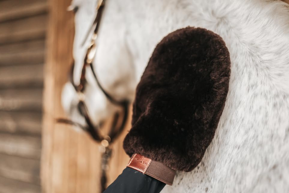 Equimour Lammfell-Putzhandschuh für Pferde – weicher Fellhandschuh zur sanften Pflege empfindlicher Stellen – entfernt Staub, poliert das Fell & eignet sich ideal Auftragen von Pflegeprodukten